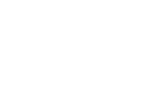 GRUPO TVS